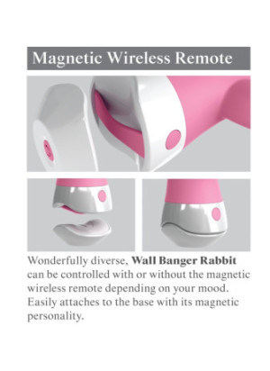 wall banger rabbit